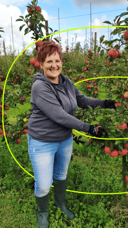 Praca w Holandii: opinie pracowników