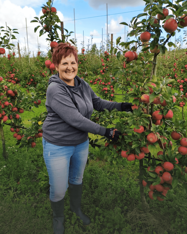 Dorota al !*10 jaar*! in de fruitoogst.