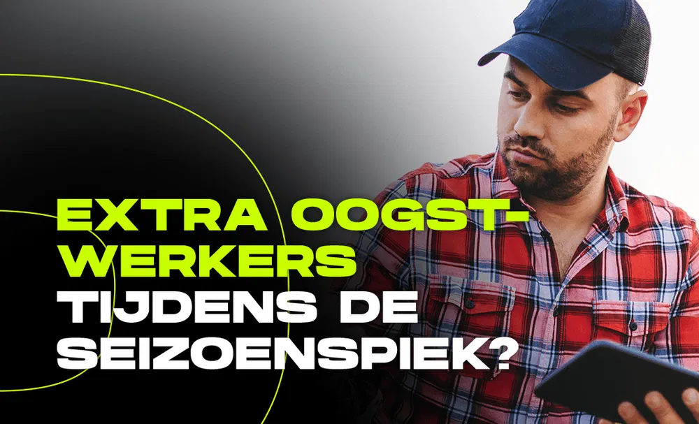 EU-medewerkers via Abeos Cross Border Services afbeelding oogstwerkers tijdens seizoenspiek | Abeos uitzendbureau