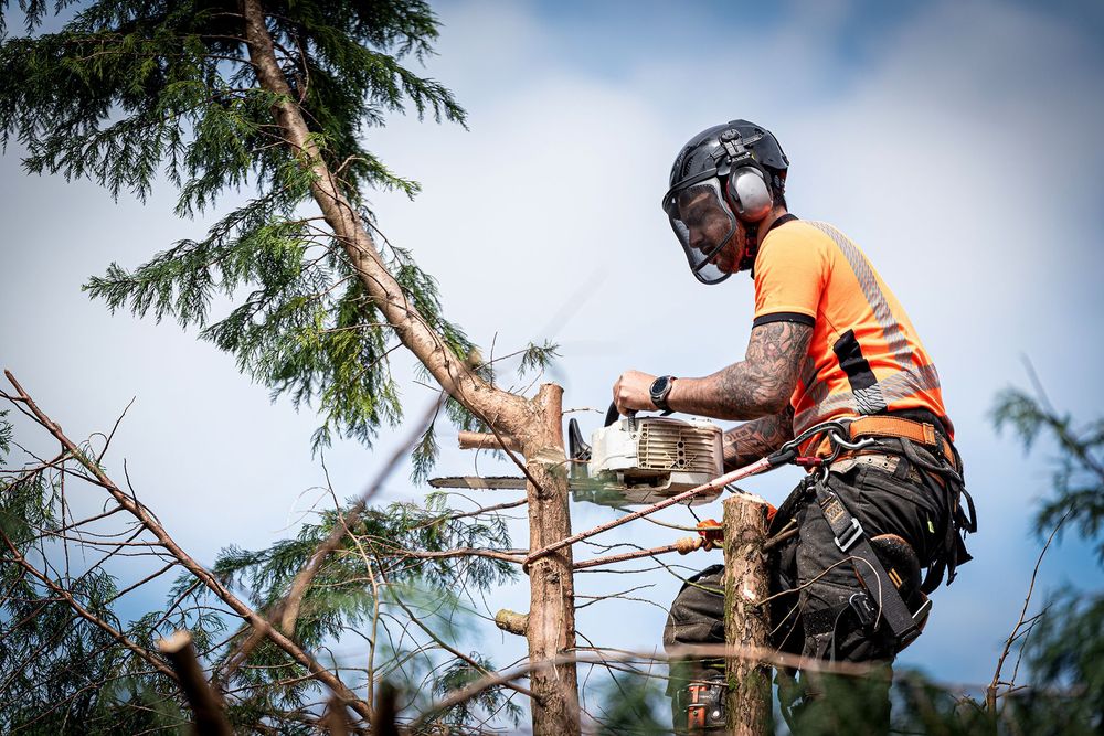 Abeos uitzendbureau voor Groenvoorziening