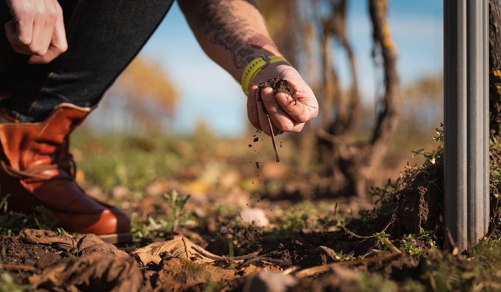 Uitzendbureau voor tuinbouw | Abeos uitzendbureau