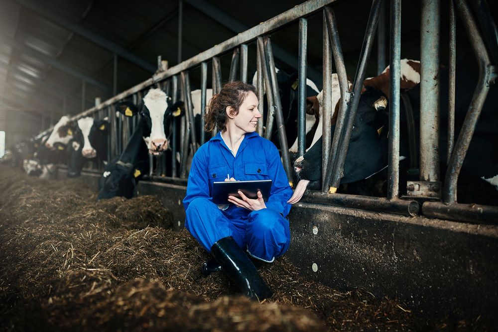 Veterinaire specialisten gezocht | Abeos uitzendbureau