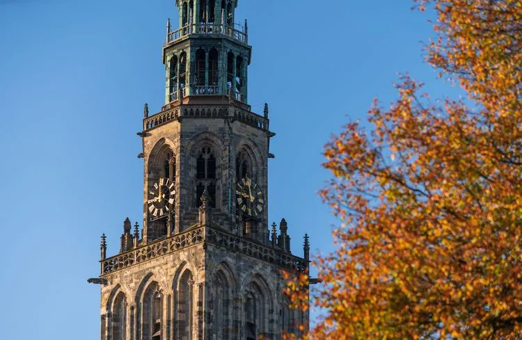 AdobeStock_308649049.jpeg