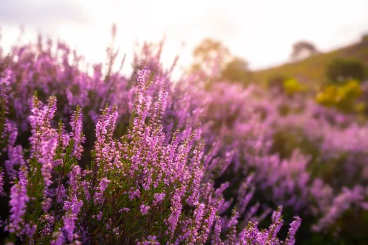 AdobeStock_527040707.jpeg