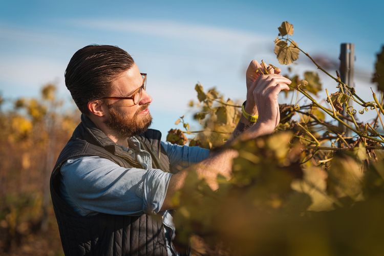 Abeos Uitzendbureau voor Tuinbouw en Glastuinbouw